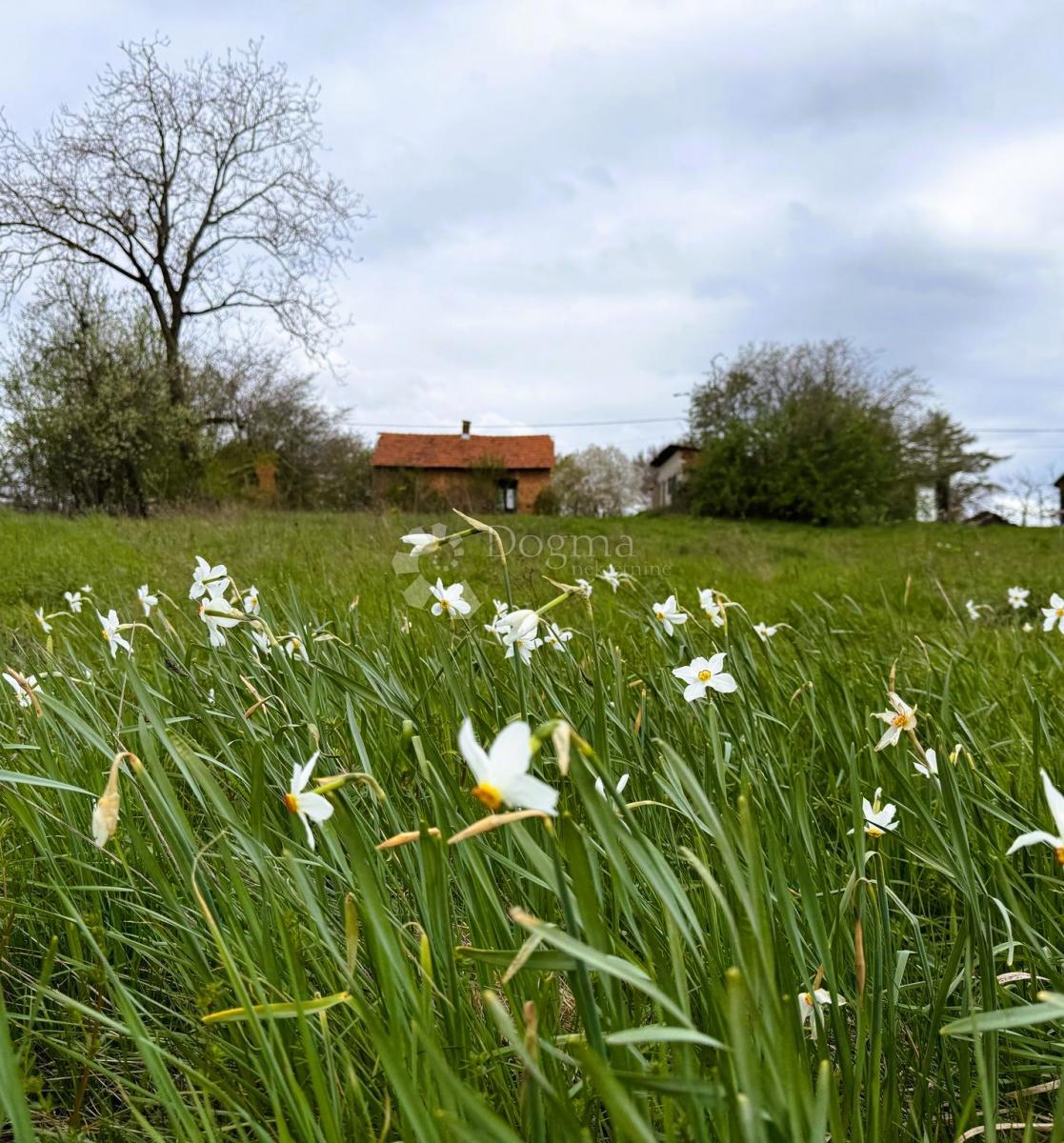 VUKANOVEC