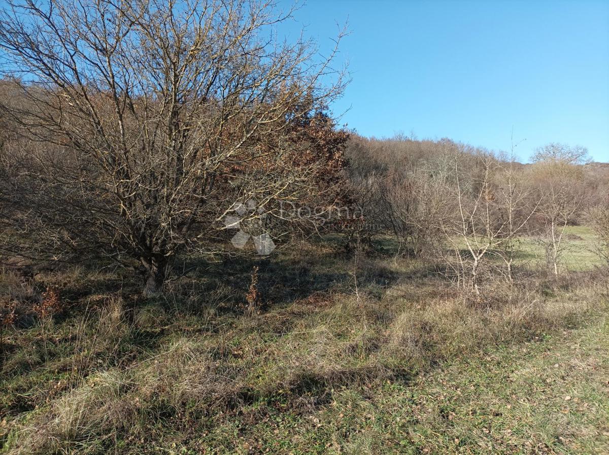 ORIČ