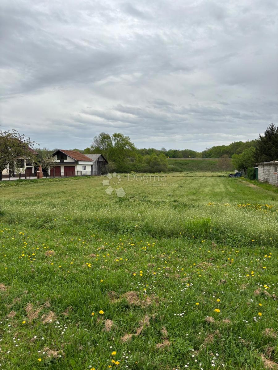 LUDBREG