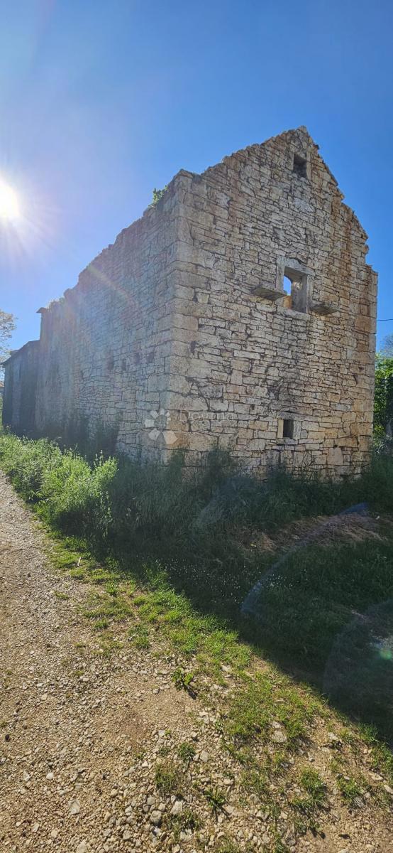 ŽMINJ