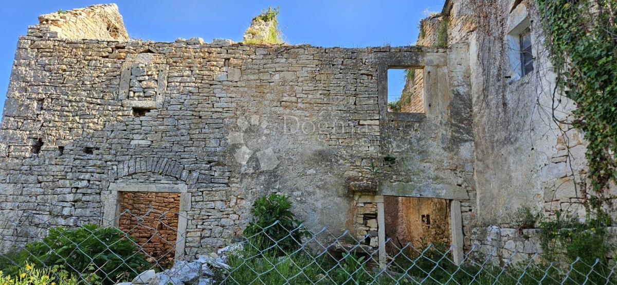 ŽMINJ