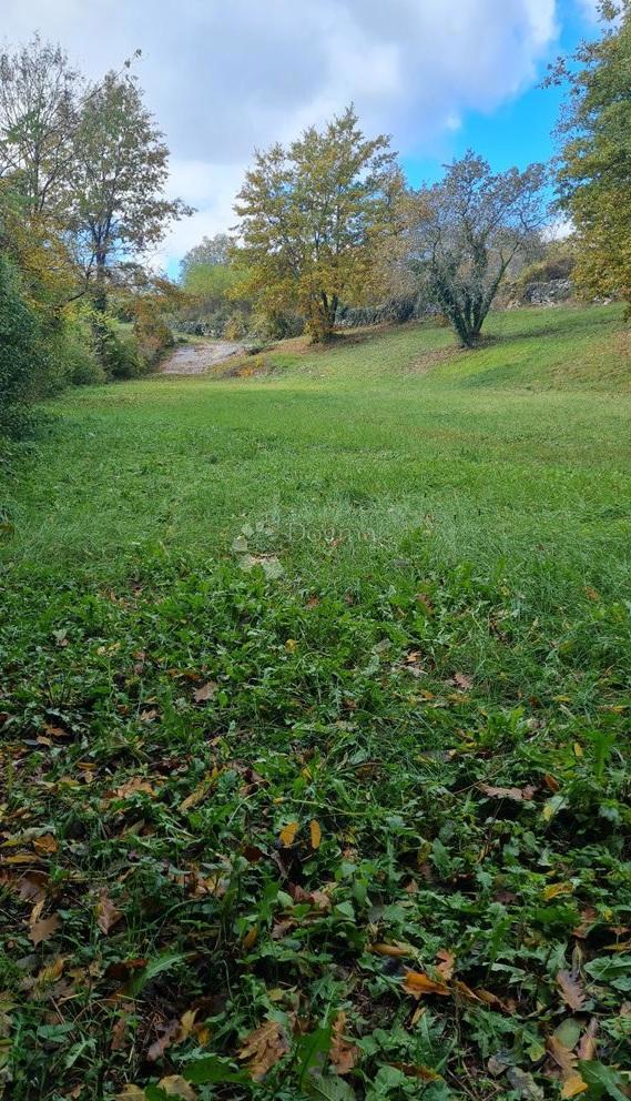 REŽANCI