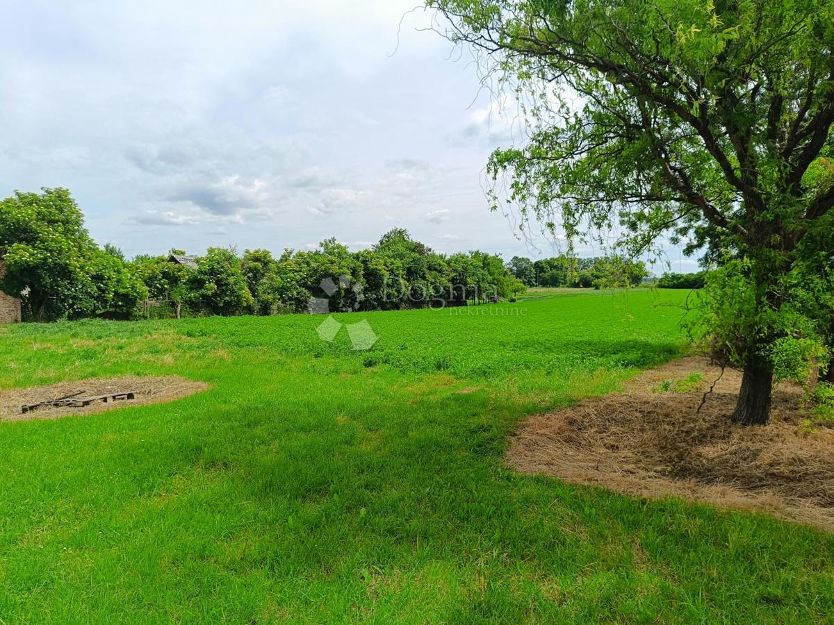 VELIŠKOVCI
