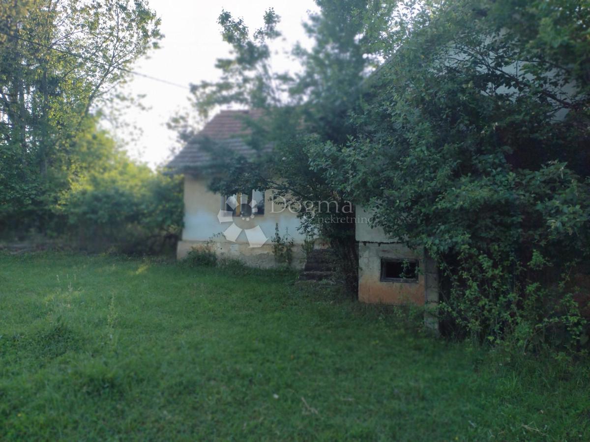 GORNJA TRSTENICA