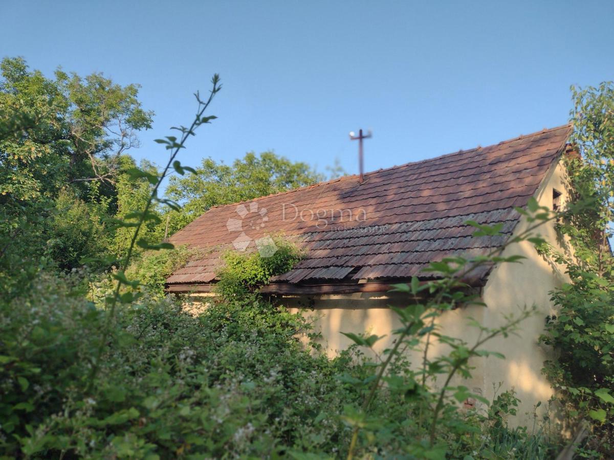 GORNJA TRSTENICA