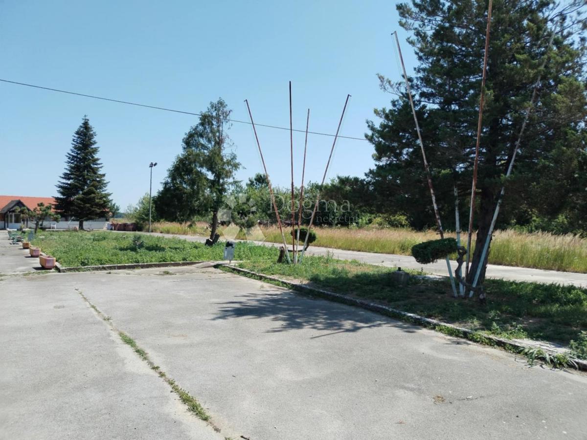 BUDANČEVICA