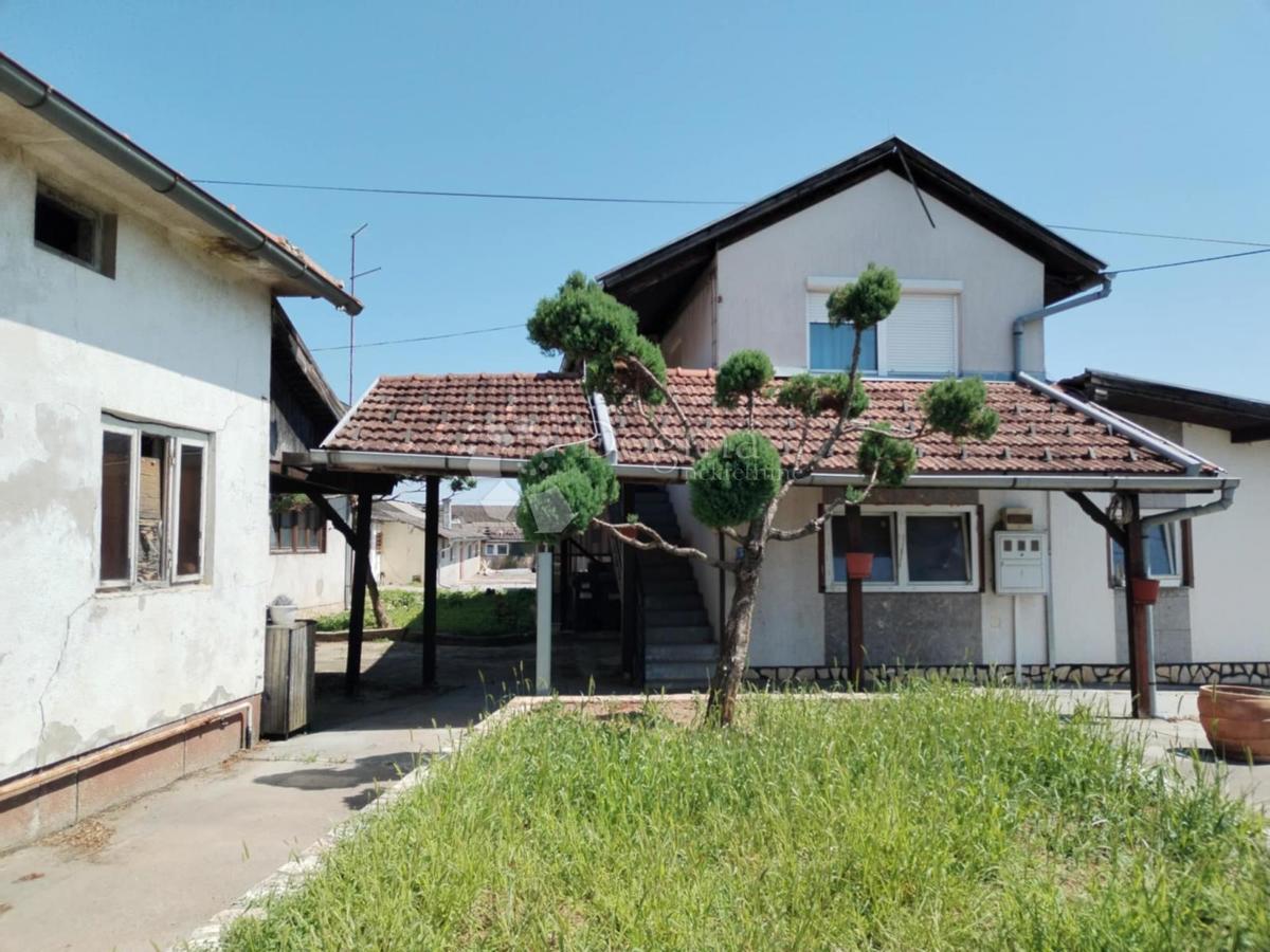 BUDANČEVICA