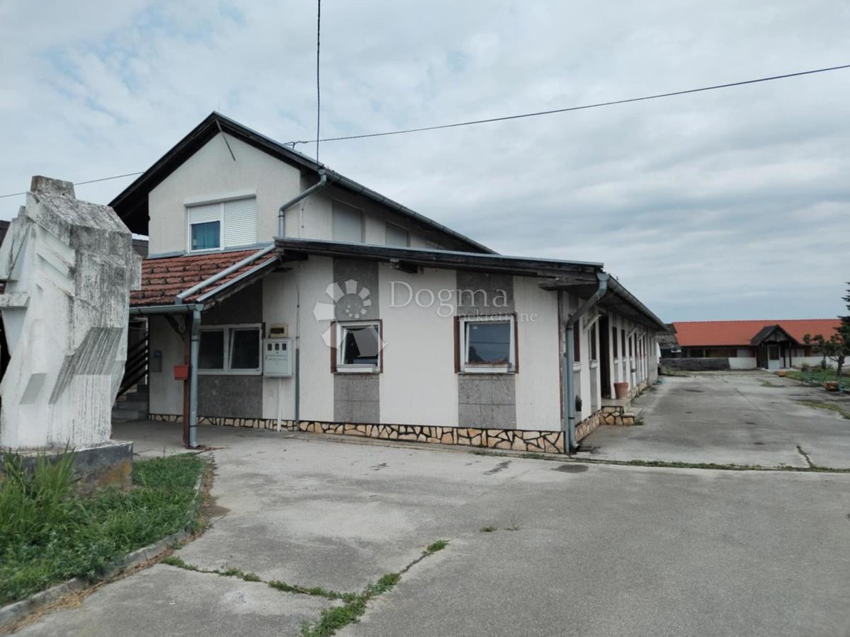 BUDANČEVICA