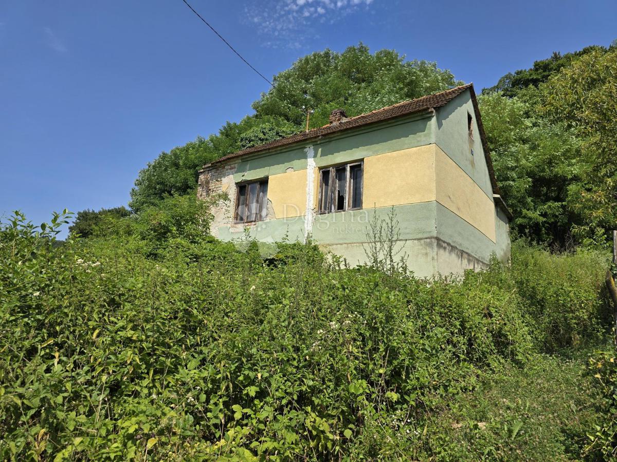 GREŠĆEVINA
