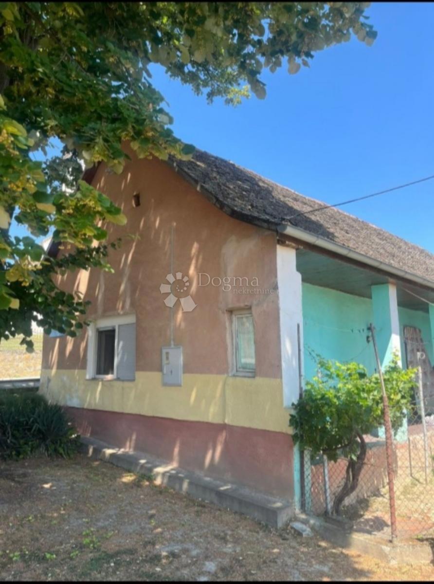 KNEŽEVI VINOGRADI