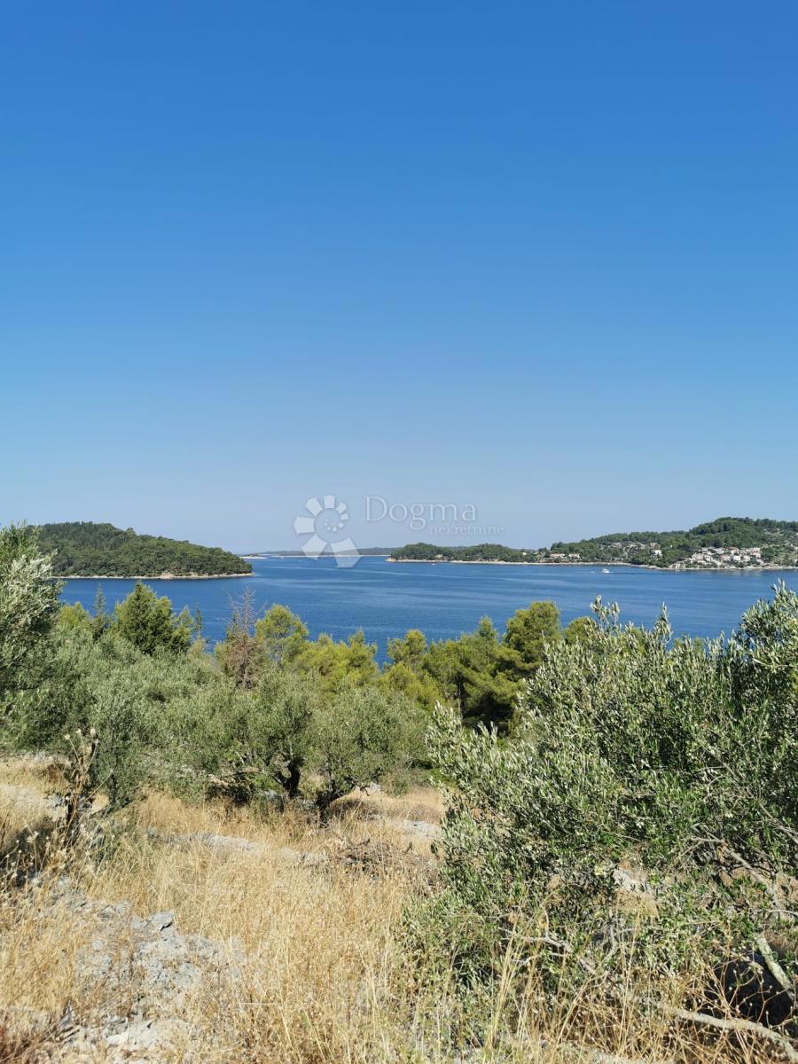 VELA LUKA