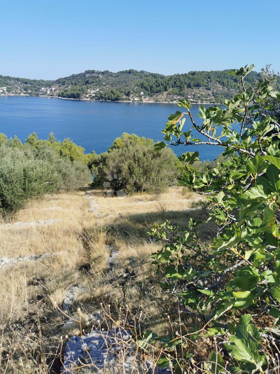 VELA LUKA