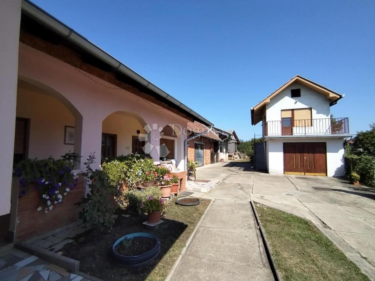 BUDANČEVICA