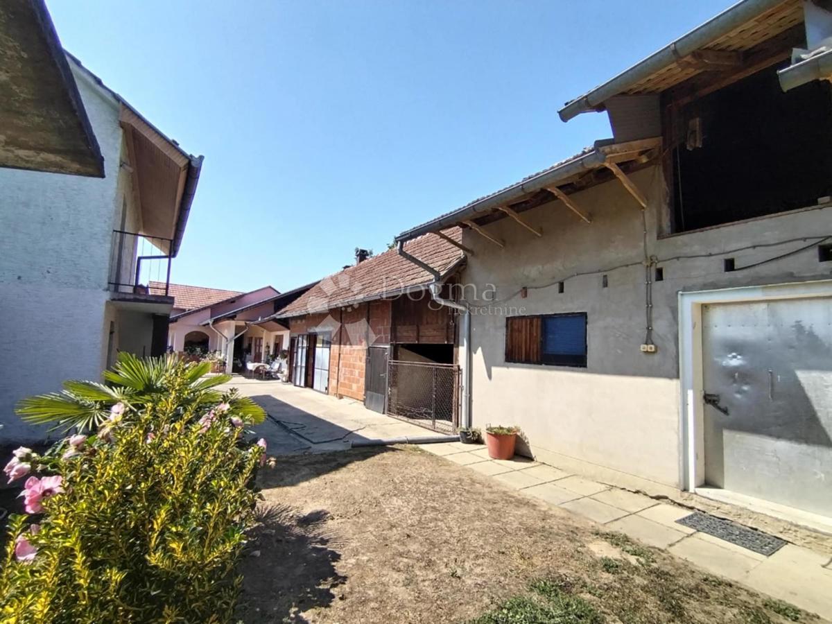 BUDANČEVICA