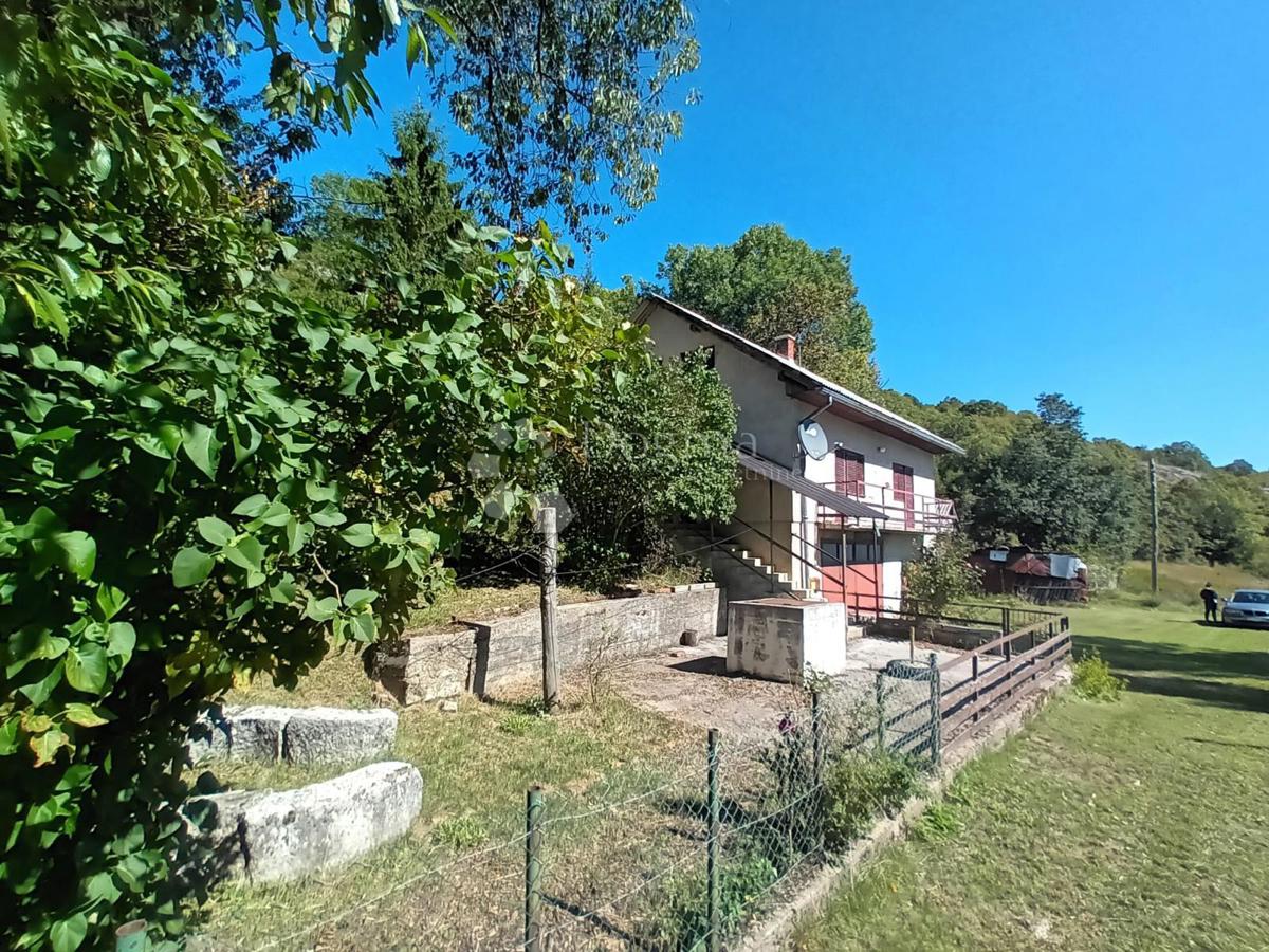 BUNIĆ