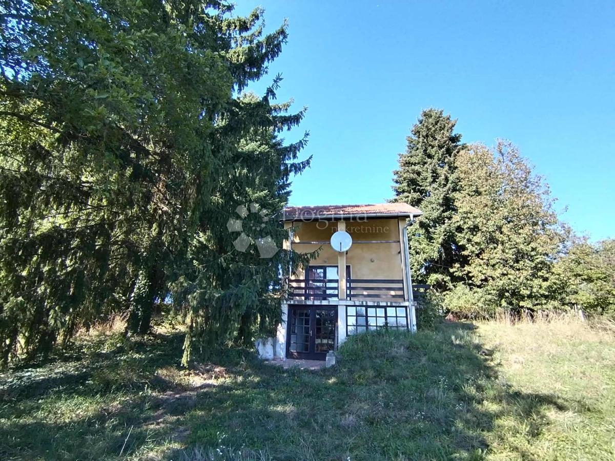 JAGNJEDOVEC