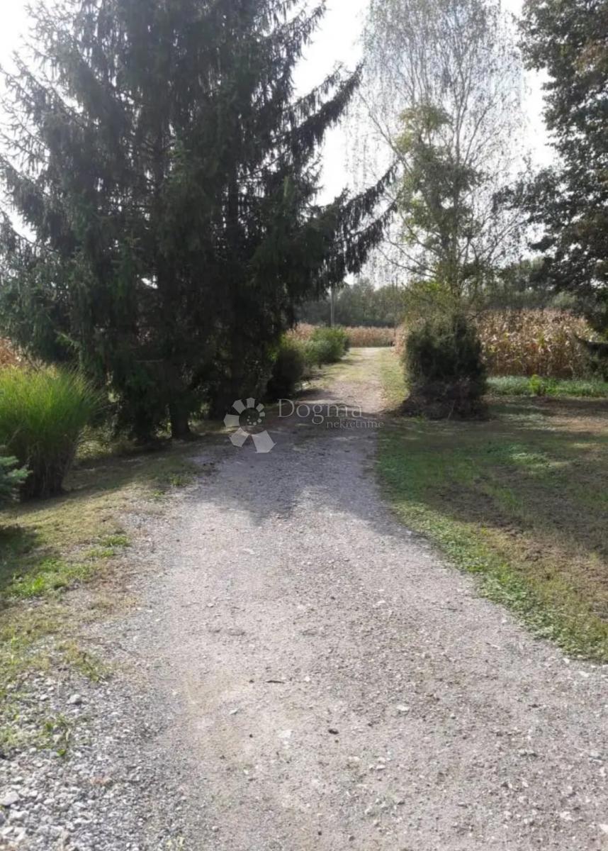 DONJI ČEMEHOVEC