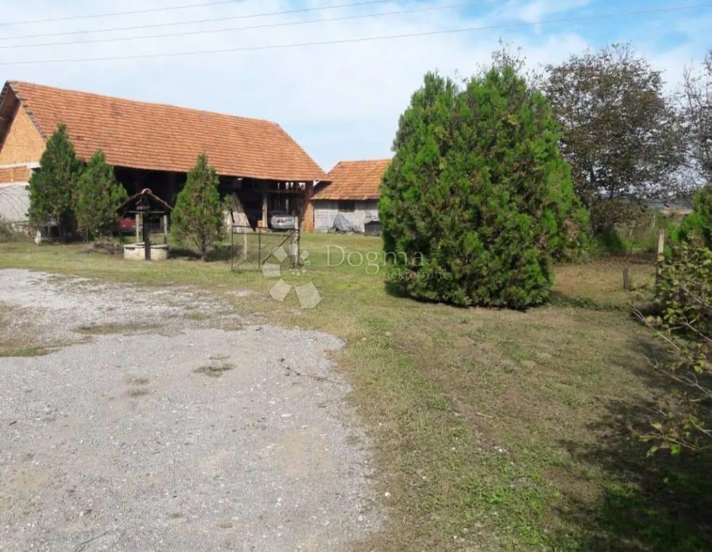 DONJI ČEMEHOVEC