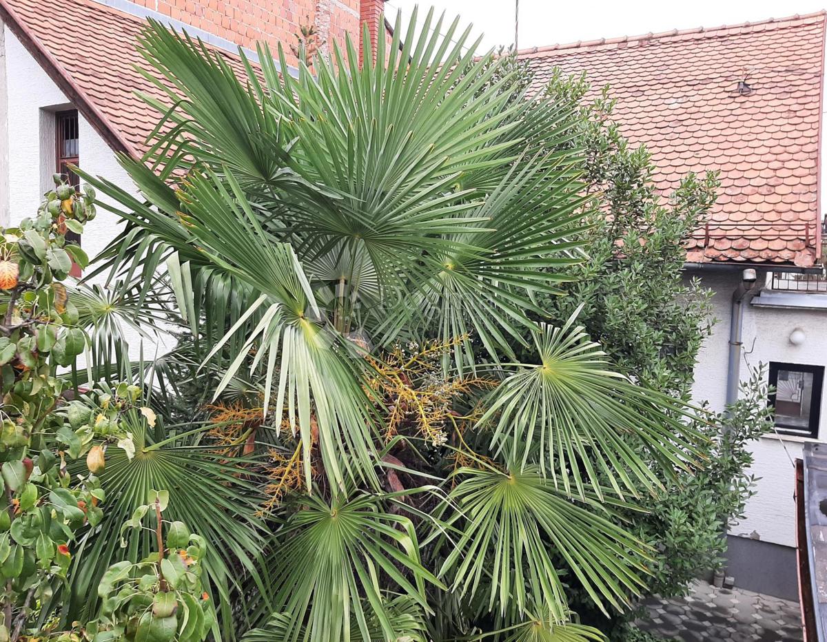 Casa ZAGREB, 250.000 €