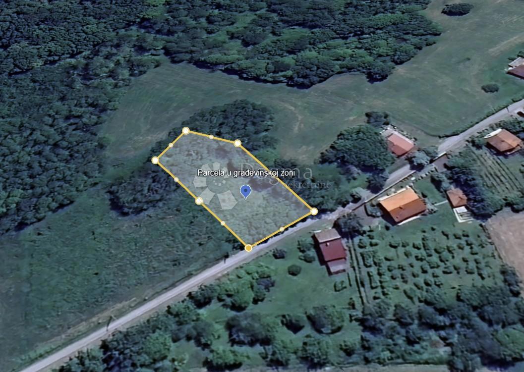MAGLENČA