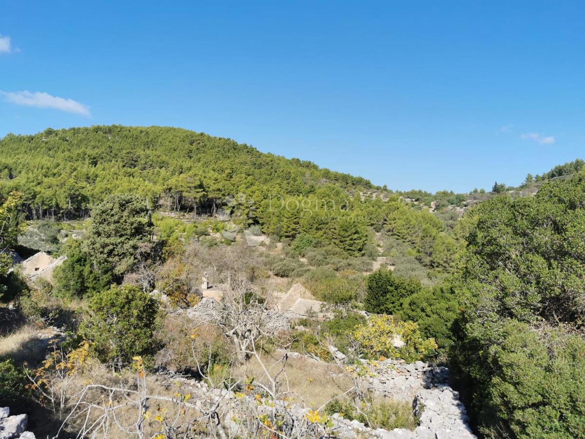 POTIRNA