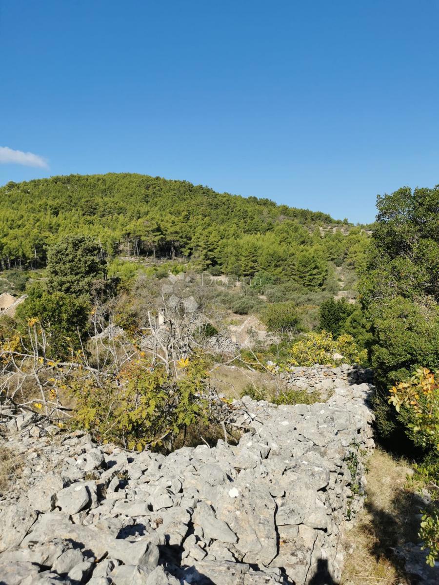 POTIRNA