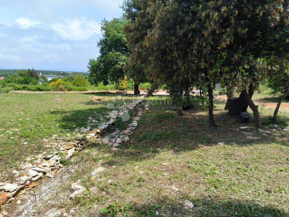 LIŽNJAN