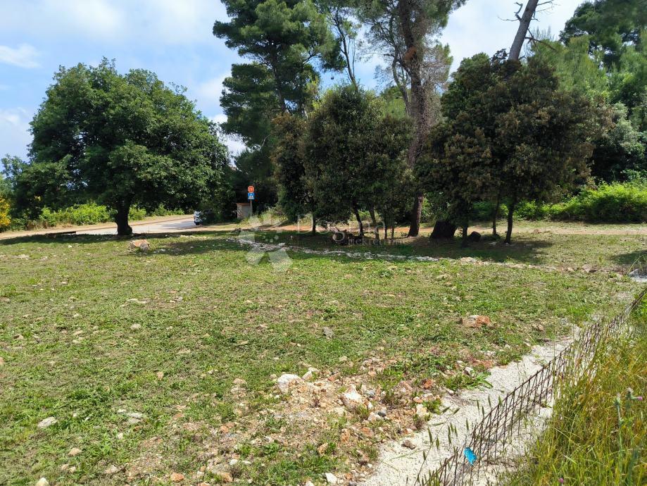 LIŽNJAN