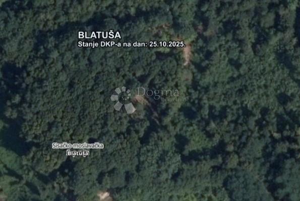 BLATUŠA