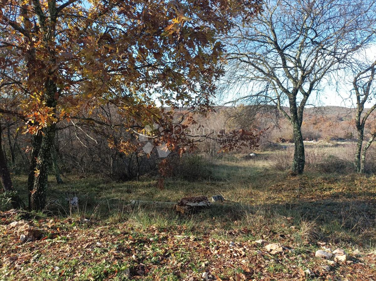 Terreno BALE, 53.500 €