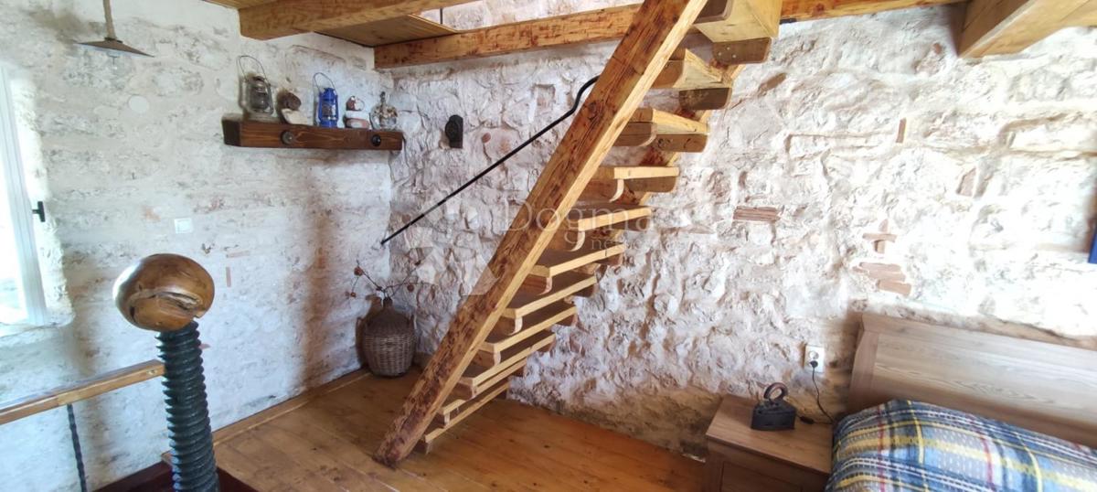 image 14