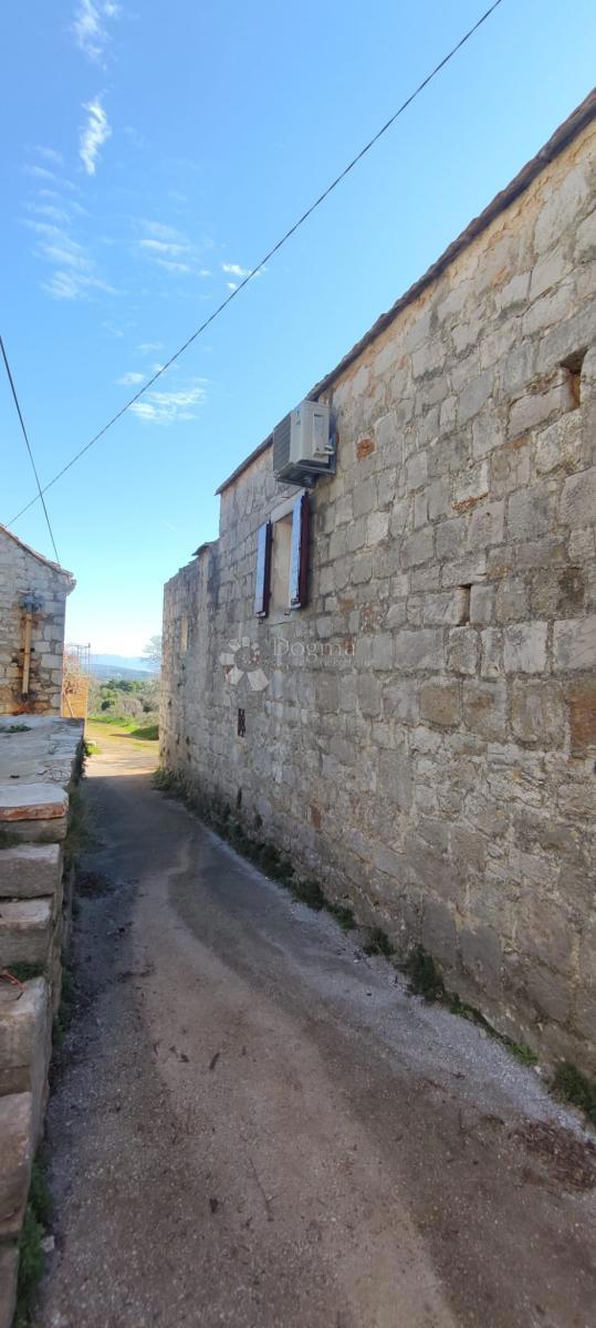 image 23