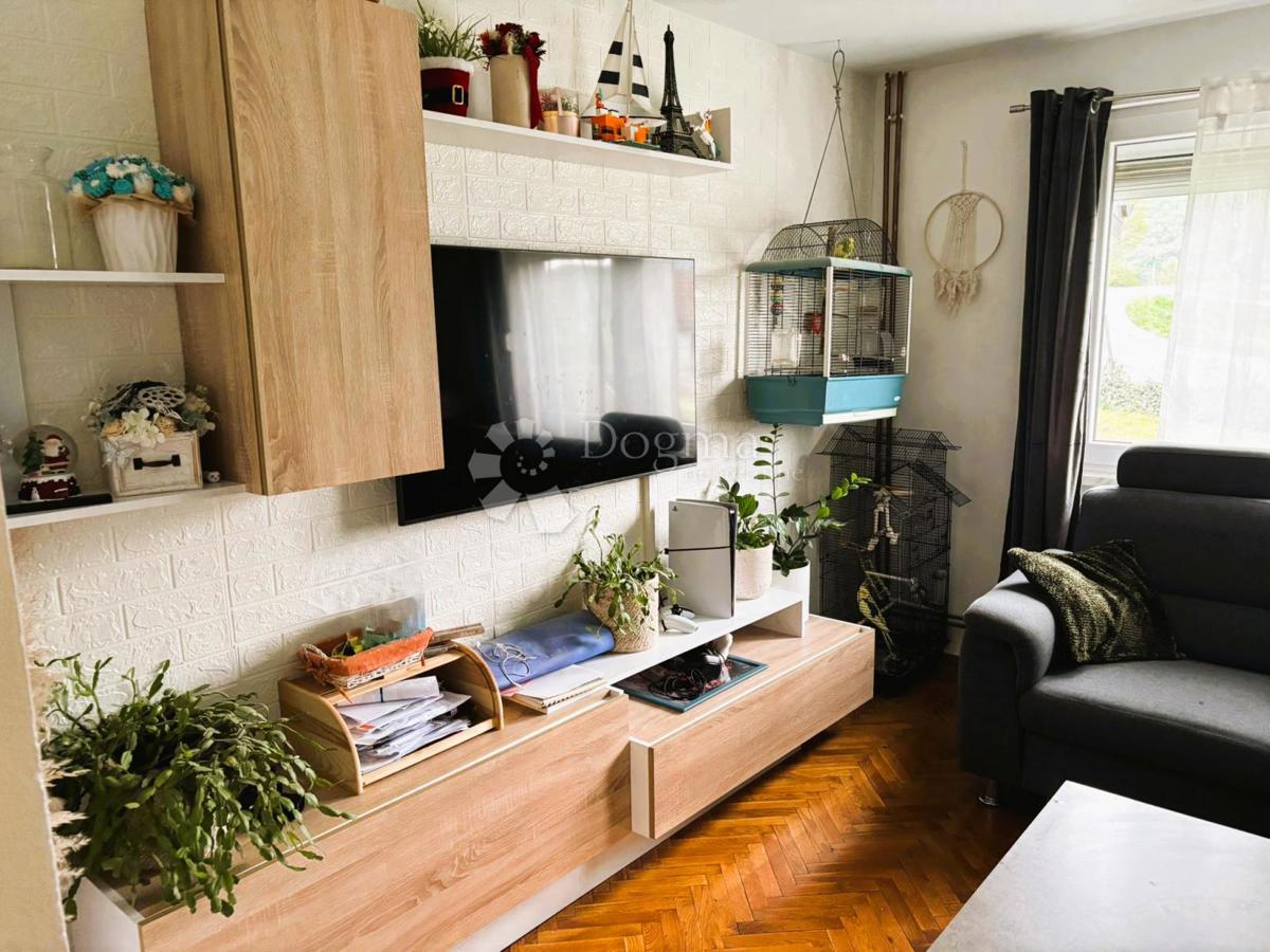 BORIČEVEC TOPLIČKI