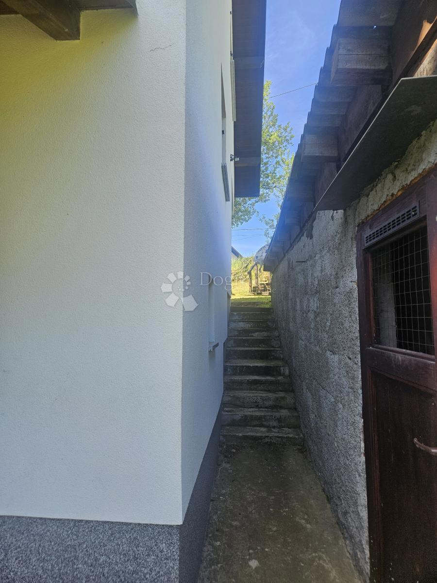 image 28