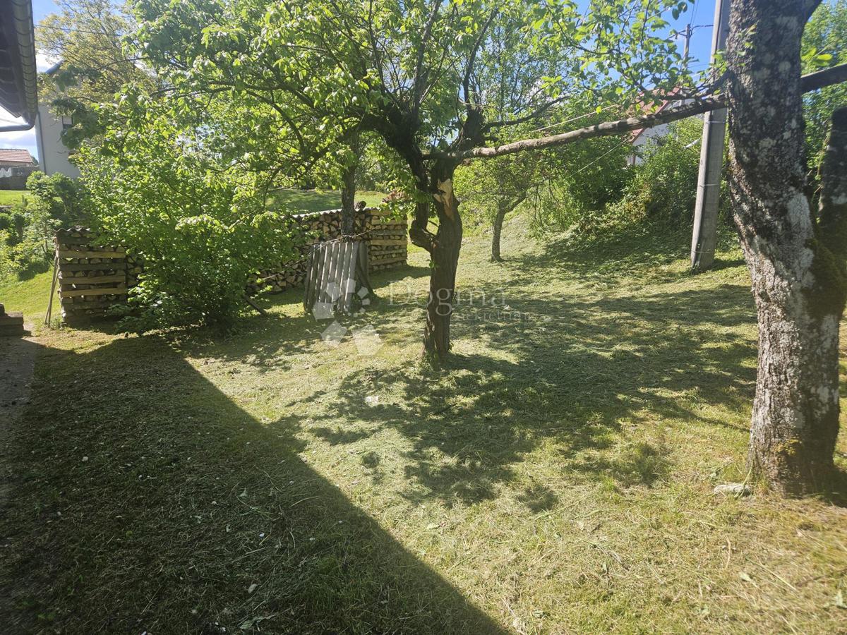 image 30