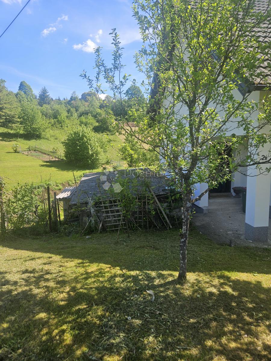 image 33