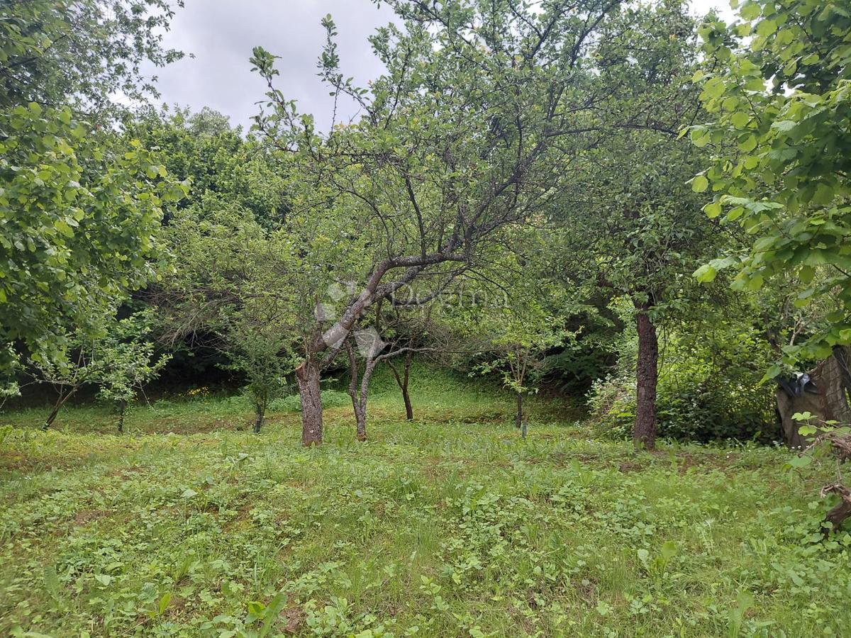 image 30