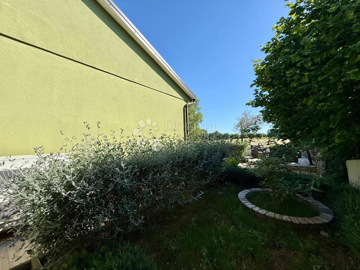 image 30