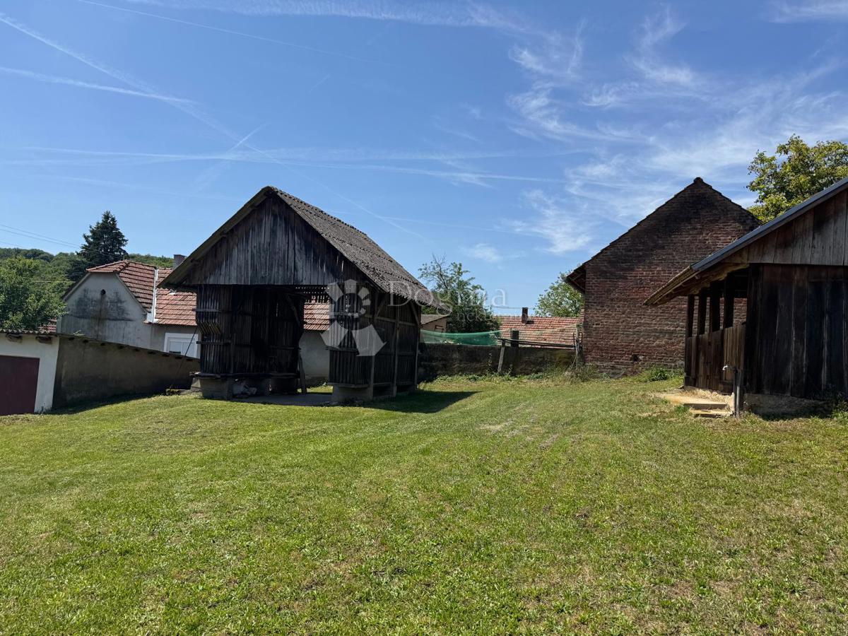 image 23
