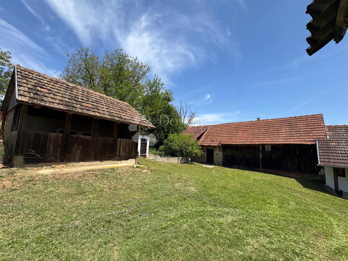 image 22
