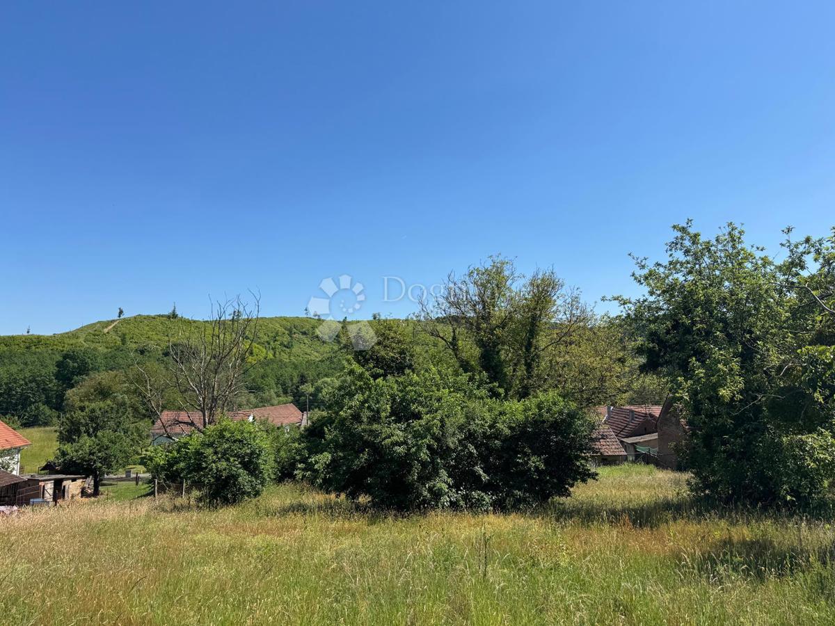 image 25