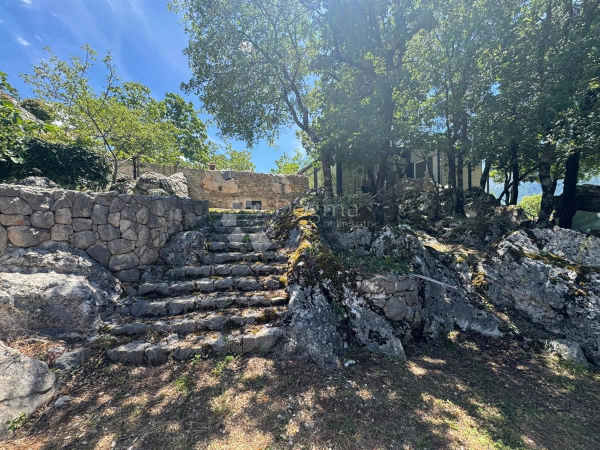 image 36