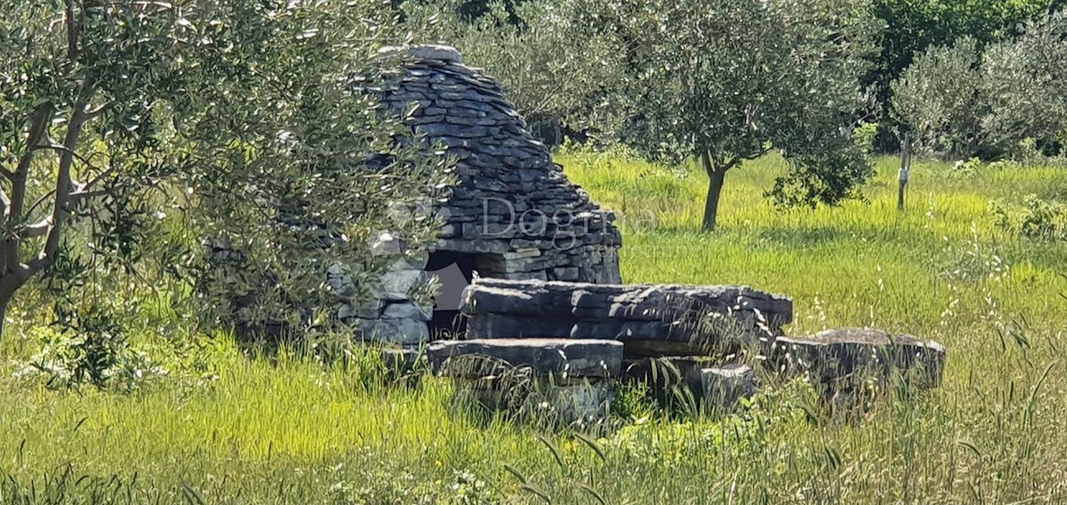 VODNJAN