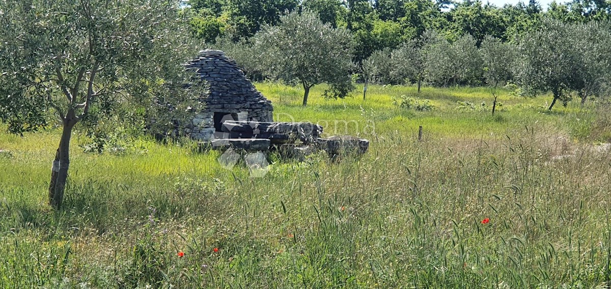 VODNJAN