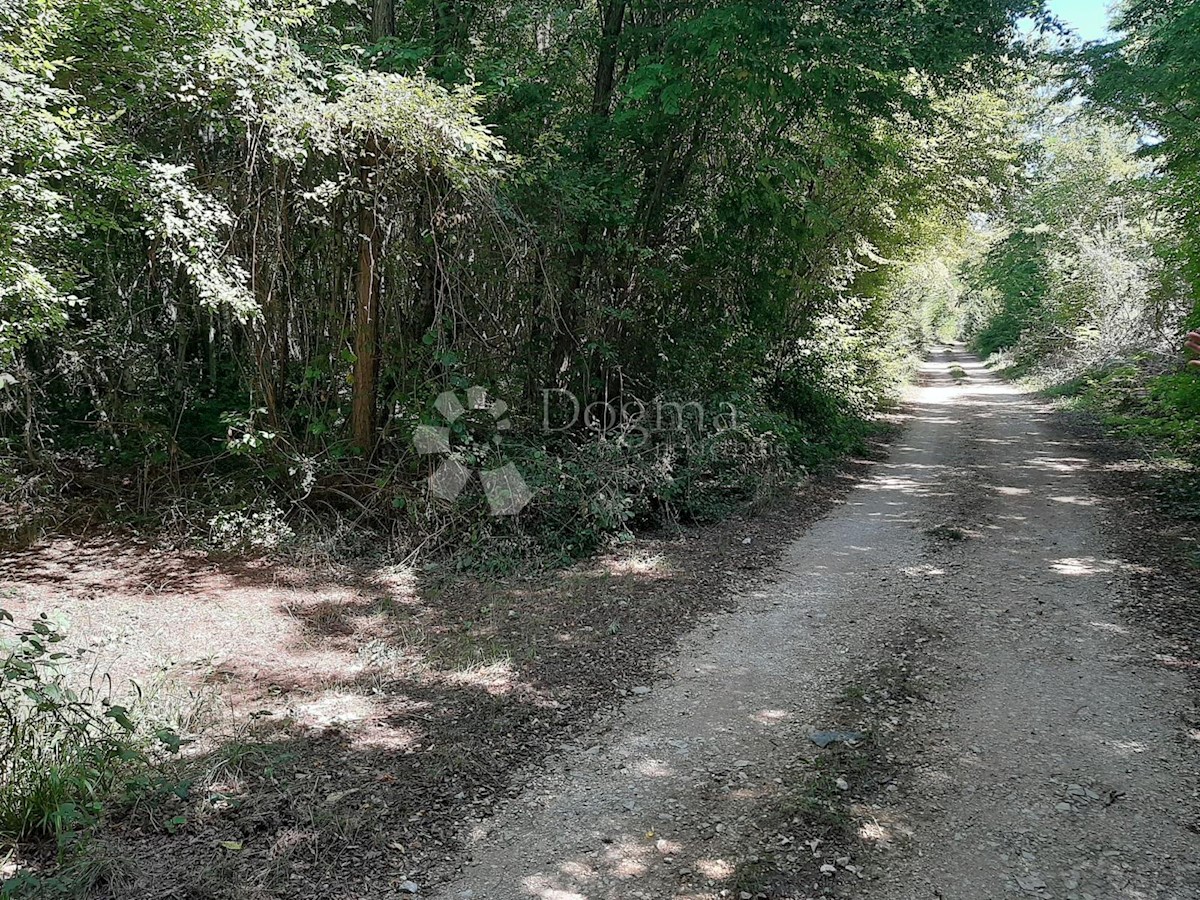 BARBAN