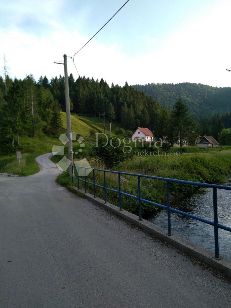 CAREVIĆI