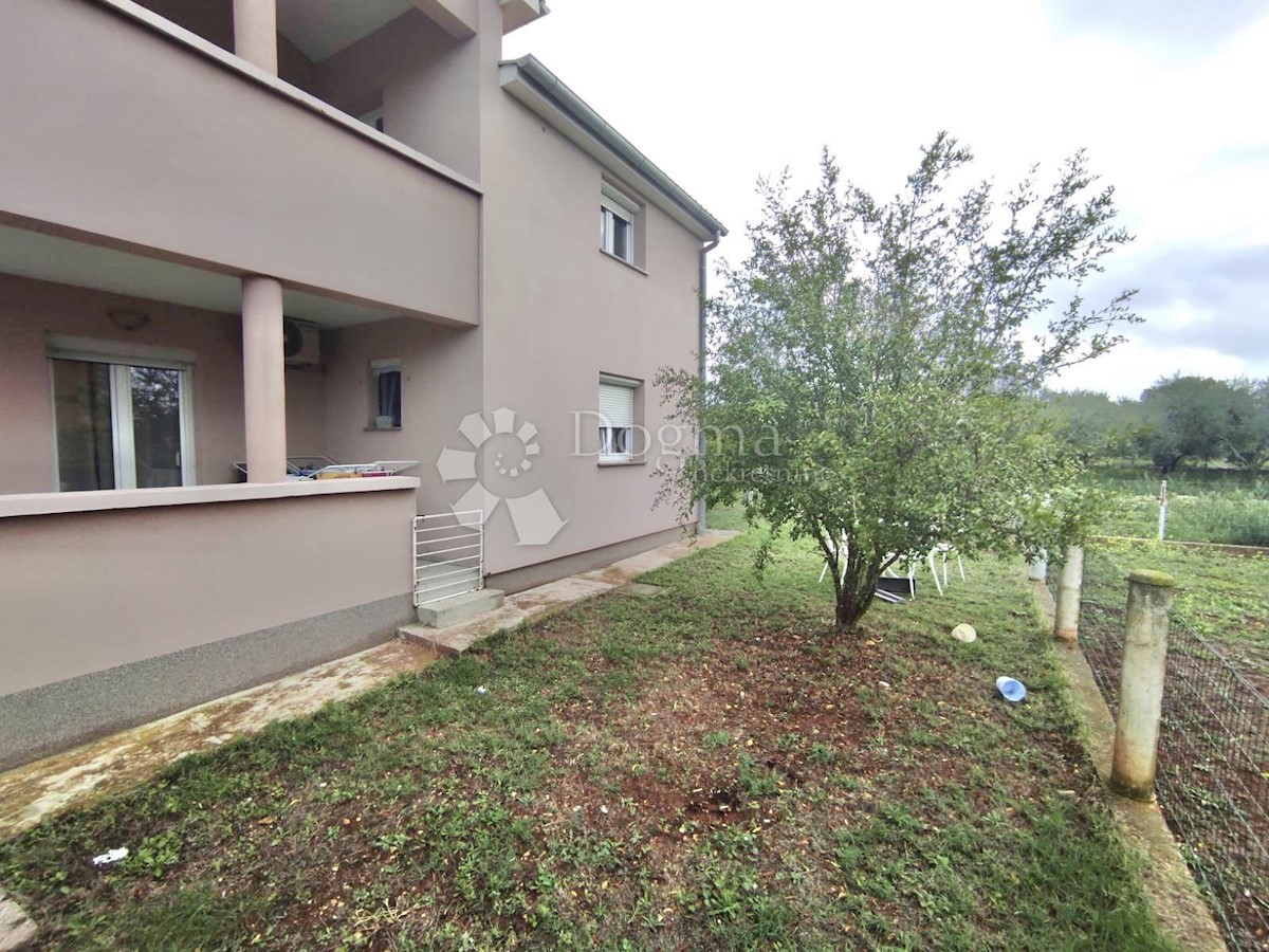 GALIŽANA