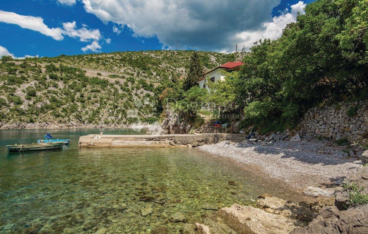 SENJ