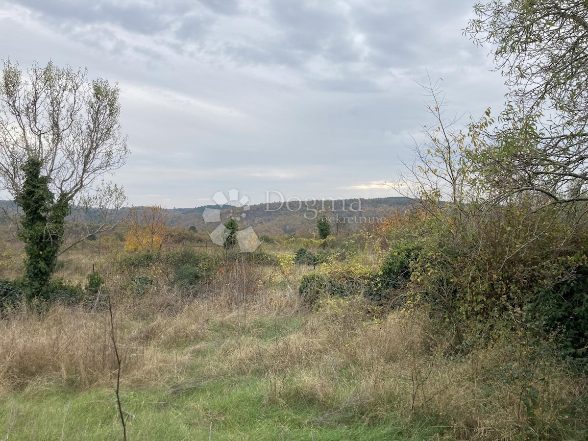 BUJE