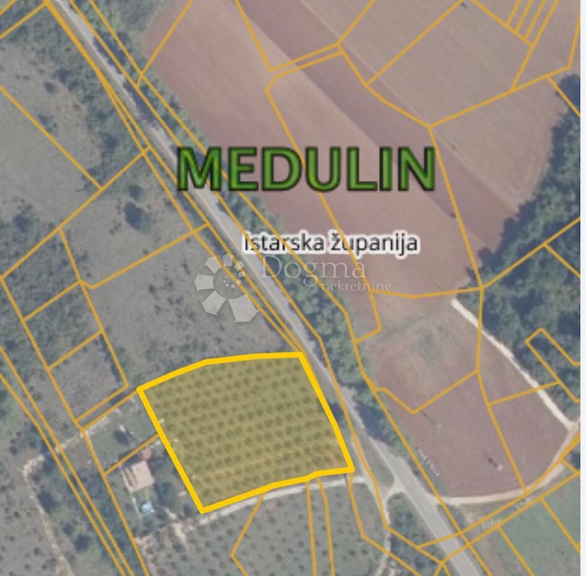 MEDULIN